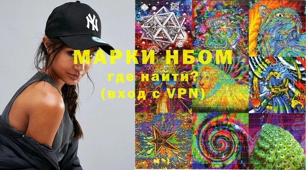 ГАЛЛЮЦИНОГЕННЫЕ ГРИБЫ Абаза