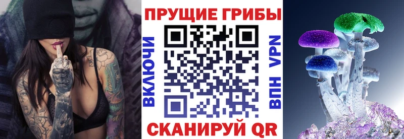 продажа наркотиков  Эртиль  Псилоцибиновые грибы MAGIC MUSHROOMS 
