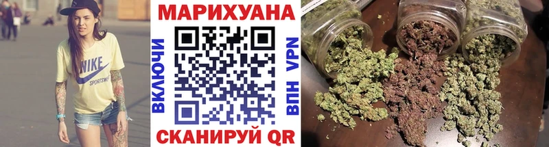 где купить наркоту  Эртиль  Марихуана сатива 